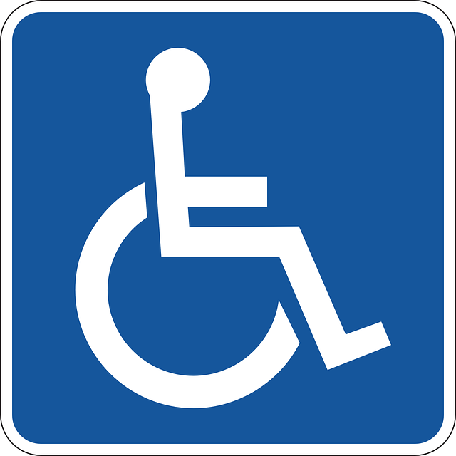 dźwigi dla niepełnosprawnych